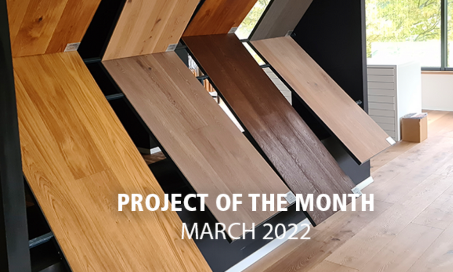 Project of the month - March 2022