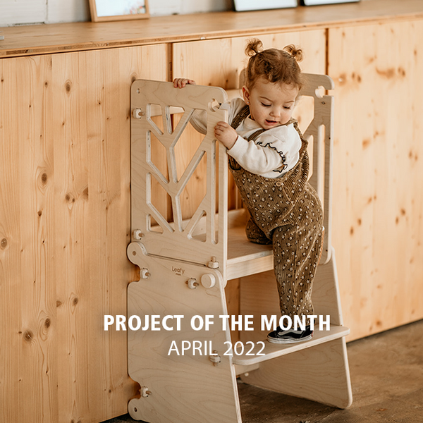 Project of the Month - April 2022